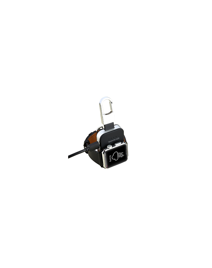 TerraTec Ładowarka ChargeAir Key 324188 główny