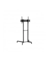 Neomounts By Newstar Statyw mobilny FL50-540BL1 - nr 24