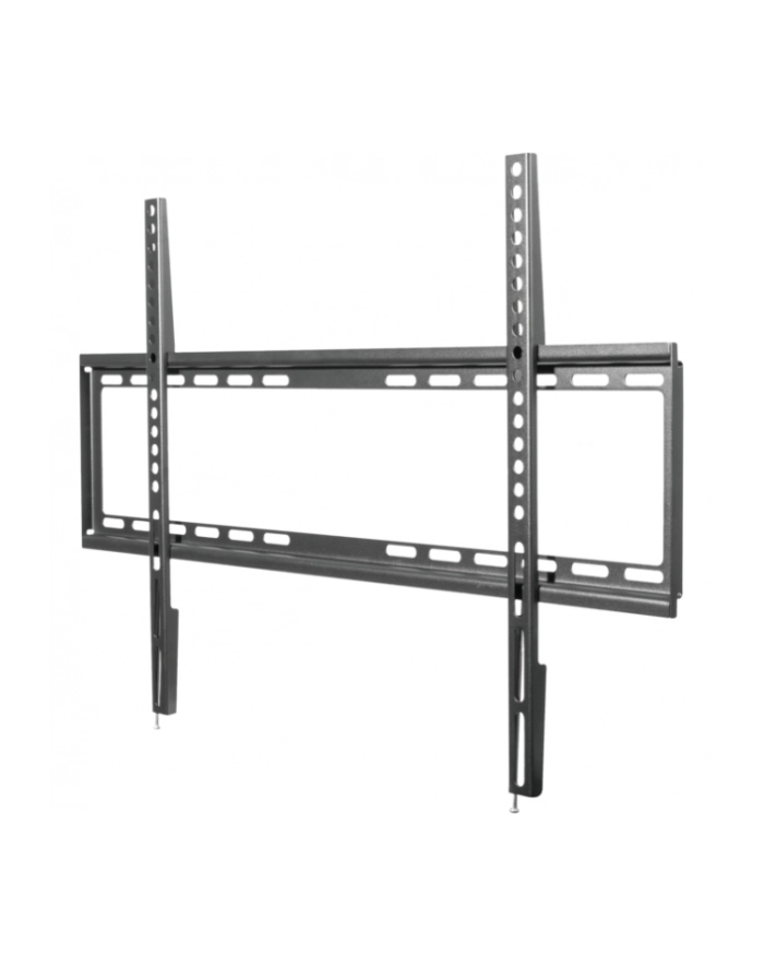 SCHWAIGER FIXED 3 - WALL MOUNT główny