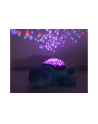 Jamara Dioda Led Światła Gwiazd Dream Y S Child Ropucha - nr 2