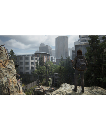 sony Gra PlayStation 4 The Last of Us 2