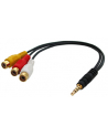 Lindy AV Adapter Cable - Stereo & Composite Video (35539) - nr 1