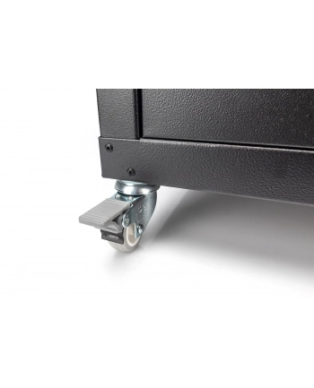 Digitus (DN-19 CASTOR-WM)