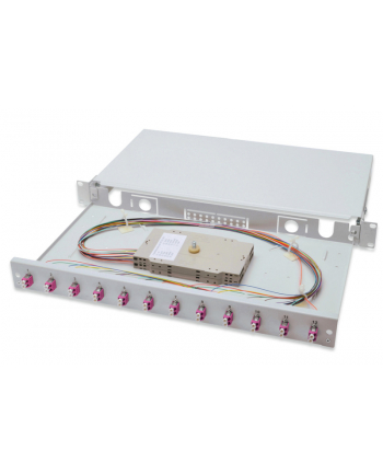 Digitus Professional Rozdzielacz światłowodu 12 Portów LC 1U (DN963314)