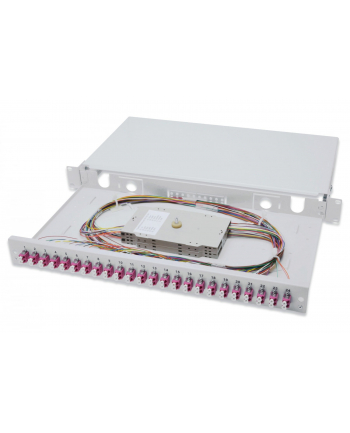 Digitus Professional Rozdzielacz światłowodu 24 Porty LC 1U (DN963324) nr 2