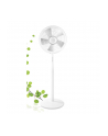 EMERIO FN-114474 - nr 1