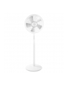 EMERIO FN-114474 - nr 5