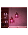 Philips Hue E27 double pack 2x800lm 75W - White ' Col. Amb. - nr 19