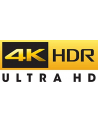 DeLOCK DP 1.4 St> HDMI-A 19Pin female - nr 10