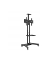 HAGOR HP Twin Stand, bracket - nr 4