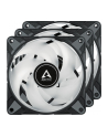 Arctic P12 PWM PST A-RGB 3er 120x120x25 - ACFAN00232A - nr 21