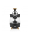 Princess Juicer Pure 300W Kolor: CZARNY/silver - nr 17