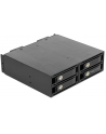 DeLOCK 5.25 ? removable frame for 4 x 2.5 ? U.2 NVMe SSD, installation frame - nr 22
