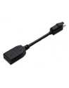 PNY mini DP to DP adapter - nr 1