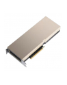 PNY NVIDIA A100 Module 80GB HBM2 PCIe 4.0 x16 - nr 1