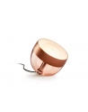PHILIPS HUE White and color ambiance Iris miedziany - nr 1