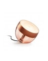 PHILIPS HUE White and color ambiance Iris miedziany - nr 23