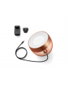 PHILIPS HUE White and color ambiance Iris miedziany - nr 13