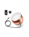 PHILIPS HUE White and color ambiance Iris miedziany - nr 19