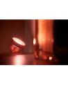 PHILIPS HUE White and color ambiance Iris miedziany - nr 6