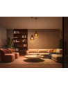 PHILIPS HUE White ambiance 1 szt. E27 1100lm - nr 14