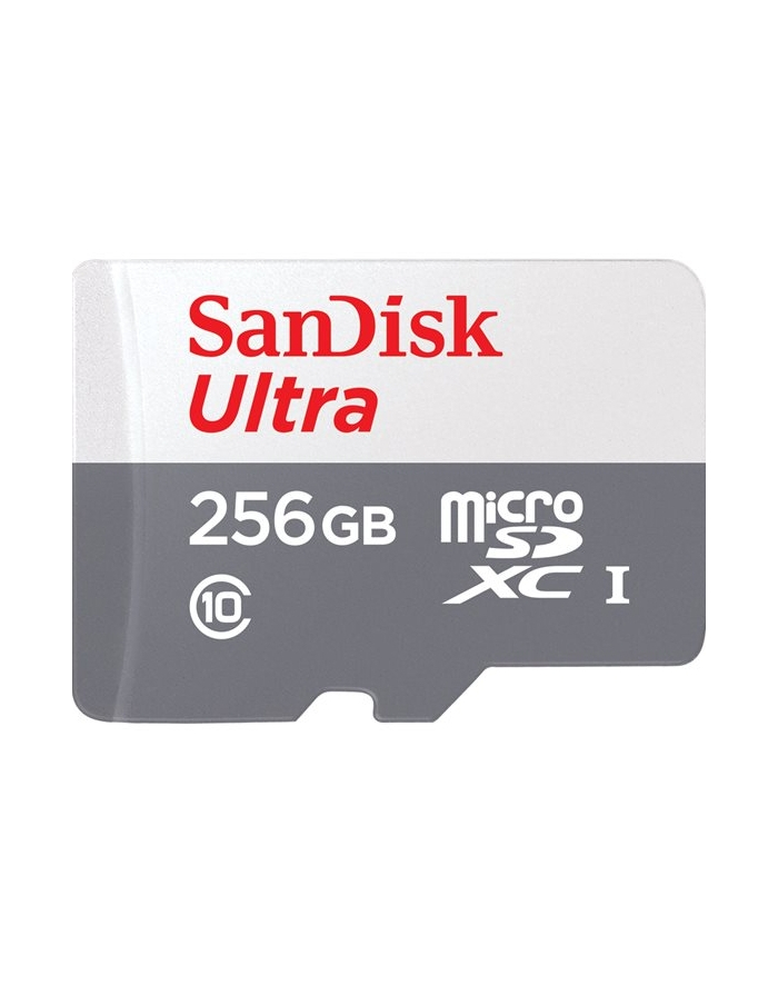 Sandisk Micro SDXC Ultra Android 256GB UHS-I U1 (SDSQUNR-256G-GN6TA) główny
