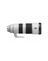 Sony FE 200-600mm F5.6-6.3 G OSS (SEL200600G) - nr 9