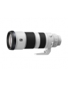 Sony FE 200-600mm F5.6-6.3 G OSS (SEL200600G) - nr 14