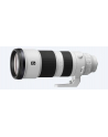 Sony FE 200-600mm F5.6-6.3 G OSS (SEL200600G) - nr 16