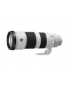 Sony FE 200-600mm F5.6-6.3 G OSS (SEL200600G) - nr 9