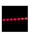 PHILIPS HUE White and color ambiance Taśma LED gradient (przedłużenie, 1 m) - nr 32