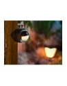 PHILIPS HUE Czujnik zewnętrzny czarny - nr 29