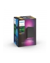 PHILIPS HUE White and color ambiance Resonate czarny 1746430P7 - nr 18