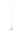 PHILIPS HUE White and color ambiance Signe gradient biały 915005987101 - nr 34