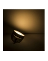 PHILIPS HUE White and color ambiance Iris czarny - nr 9
