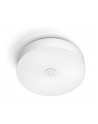 PHILIPS HUE White ambiance Enrave M 12,9W biały - nr 8