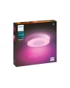 PHILIPS HUE White and color ambiance Xamento L IP44 52,5W biały - nr 10