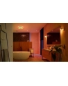 PHILIPS HUE White and color ambiance Xamento L IP44 52,5W biały - nr 3
