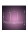 PHILIPS HUE White and color ambiance Ensis czarny 929003052501 - nr 11
