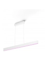 PHILIPS HUE White and color ambiance Ensis biały - nr 18