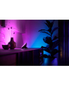 PHILIPS HUE White and color ambiance Bloom czarny 929002376001 - nr 2