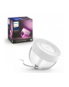 PHILIPS HUE White and color ambiance Iris biały - nr 19