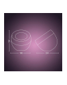 PHILIPS HUE White and color ambiance Iris czarny - nr 26