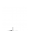 PHILIPS HUE White and color ambiance Signe gradient biały 915005987101 - nr 34