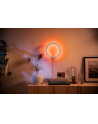 PHILIPS HUE White and color ambiance Sana biały - nr 9