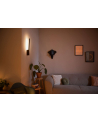 PHILIPS HUE White and color ambiance Liane czarny - nr 1