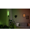 PHILIPS HUE White and color ambiance Liane czarny - nr 8