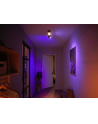 PHILIPS HUE White and color ambiance Centris czarny 915005928101 - nr 2