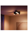 PHILIPS HUE White and color ambiance Centris czarny 915005928501 - nr 2