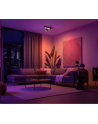 PHILIPS HUE White and color ambiance Centris czarny 915005928501 - nr 4